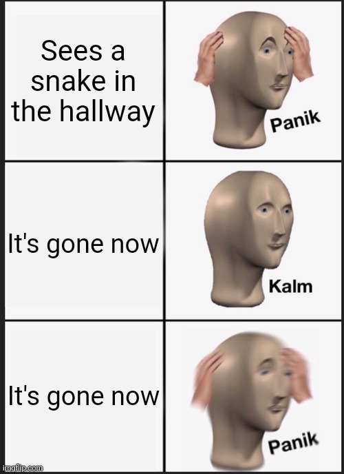 Panik Kalm Panik Meme | Sees a snake in the hallway; It's gone now; It's gone now | image tagged in memes,panik kalm panik | made w/ Imgflip meme maker