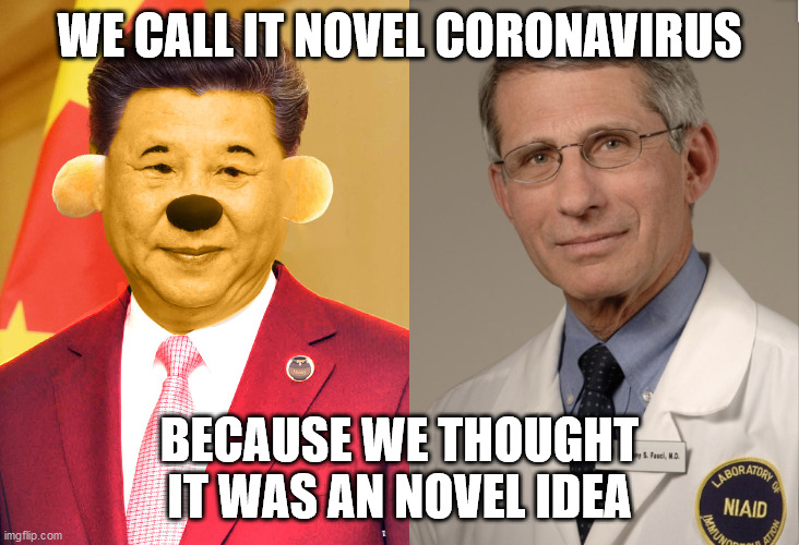 WE CALL IT NOVEL CORONAVIRUS; BECAUSE WE THOUGHT IT WAS AN NOVEL IDEA | image tagged in dr fauci | made w/ Imgflip meme maker