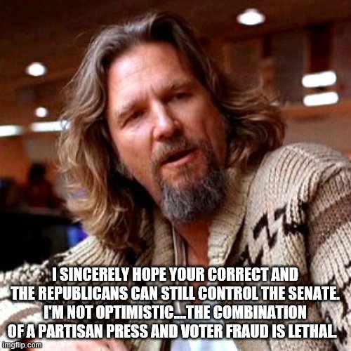 Confused Lebowski Meme | I SINCERELY HOPE YOUR CORRECT AND THE REPUBLICANS CAN STILL CONTROL THE SENATE. I'M NOT OPTIMISTIC....THE COMBINATION OF A PARTISAN PRESS AN | image tagged in memes,confused lebowski | made w/ Imgflip meme maker