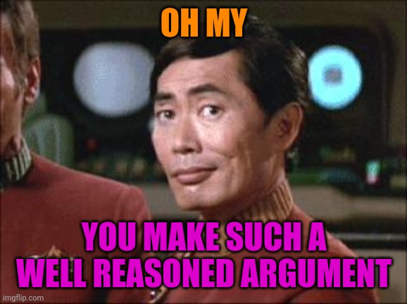 Sulu Oh My | OH MY YOU MAKE SUCH A WELL REASONED ARGUMENT | image tagged in sulu oh my | made w/ Imgflip meme maker