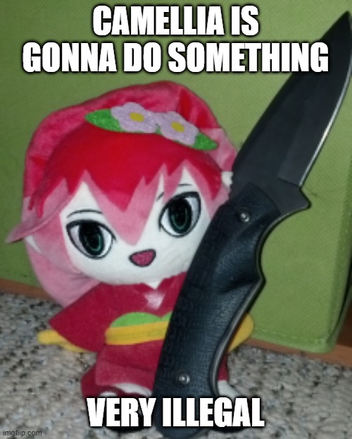 Knife Camellia | CAMELLIA IS GONNA DO SOMETHING VERY ILLEGAL | image tagged in knife camellia | made w/ Imgflip meme maker