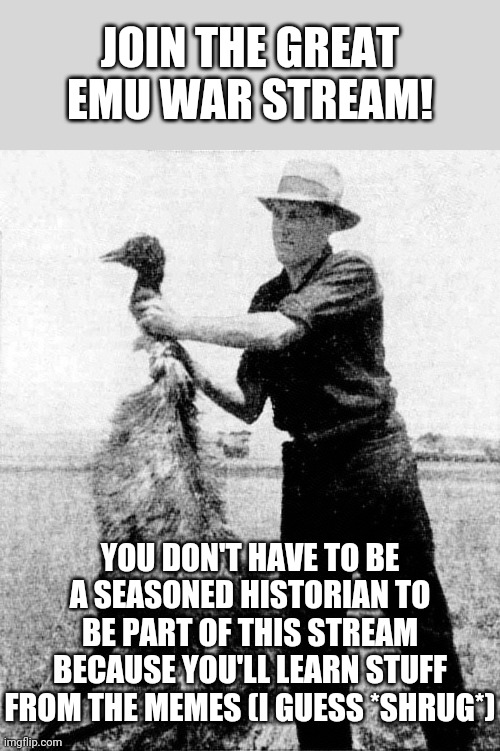 Great emu war | JOIN THE GREAT EMU WAR STREAM! YOU DON'T HAVE TO BE A SEASONED HISTORIAN TO BE PART OF THIS STREAM BECAUSE YOU'LL LEARN STUFF FROM THE MEMES (I GUESS *SHRUG*) | image tagged in great emu war | made w/ Imgflip meme maker