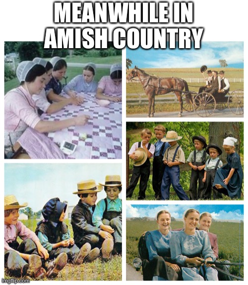 Business as usual.... | MEANWHILE IN
AMISH COUNTRY | image tagged in amish,covid-19,lockdown | made w/ Imgflip meme maker