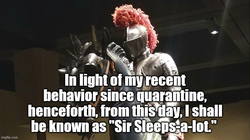 This probably should be my name all the time | In light of my recent behavior since quarantine, henceforth, from this day, I shall be known as "Sir Sleeps-a-lot." | image tagged in knights,knight,quarantine | made w/ Imgflip meme maker
