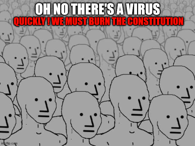 Npc crowd | OH NO THERE'S A VIRUS; QUICKLY ! WE MUST BURN THE CONSTITUTION | image tagged in npc crowd | made w/ Imgflip meme maker