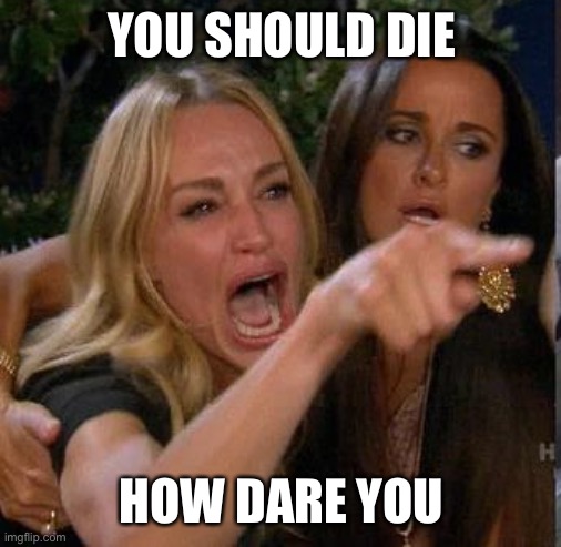 Screaming At | YOU SHOULD DIE HOW DARE YOU | image tagged in screaming at | made w/ Imgflip meme maker