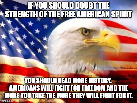 The fight is beginning over freedom. | IF YOU SHOULD DOUBT THE STRENGTH OF THE FREE AMERICAN SPIRIT; YOU SHOULD READ MORE HISTORY.  AMERICANS WILL FIGHT FOR FREEDOM AND THE MORE YOU TAKE THE MORE THEY WILL FIGHT FOR IT. | image tagged in american flag | made w/ Imgflip meme maker