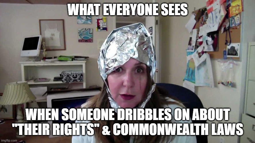 Commonwealth laws | WHAT EVERYONE SEES; WHEN SOMEONE DRIBBLES ON ABOUT "THEIR RIGHTS" & COMMONWEALTH LAWS | image tagged in tin hat conspiracist,commonwealth laws | made w/ Imgflip meme maker