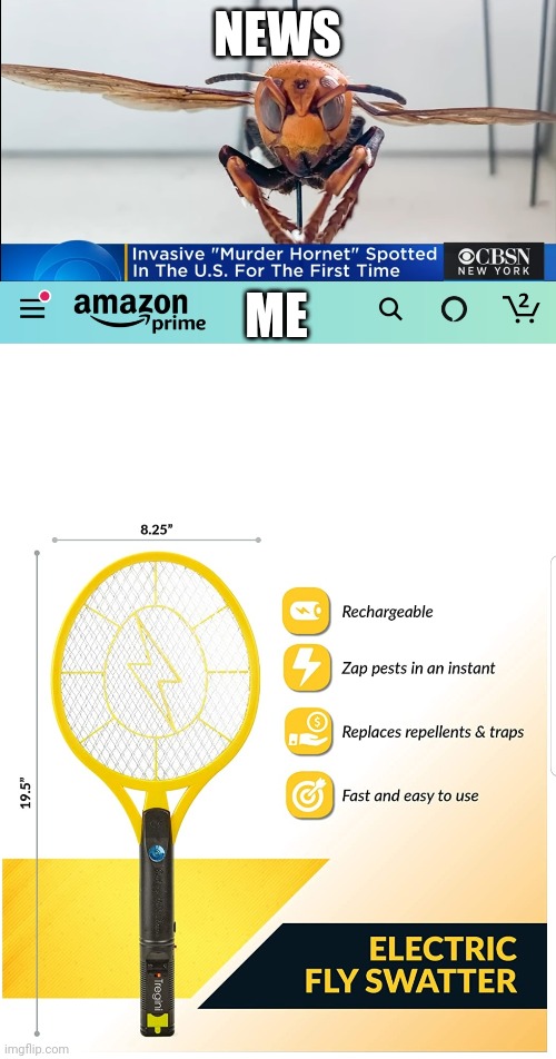 Heard about Murder Hornets and immediately hopped on Amazon | NEWS; ME | image tagged in murder hornet,amazon | made w/ Imgflip meme maker