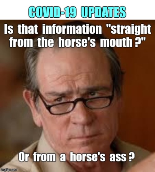 Who Do You Trust? | COVID-19  UPDATES; Is that information "straight from the horse's mouth?" Or from a horse's ass? | image tagged in tommy lee jones are you serious,sick_covid stream,covid-19,rick75230,covidiots | made w/ Imgflip meme maker