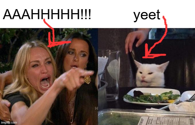 Woman Yelling At Cat Meme | AAAHHHHH!!! yeet | image tagged in memes,woman yelling at cat | made w/ Imgflip meme maker