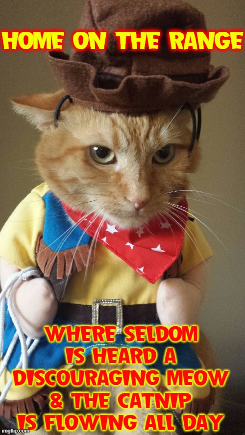 Where the Cats and the Kittens Play | HOME ON THE RANGE; WHERE SELDOM IS HEARD A DISCOURAGING MEOW & THE CATNIP IS FLOWING ALL DAY | image tagged in vince vance,cats,costumes,cowboy,home on the range,funny cat memes | made w/ Imgflip meme maker