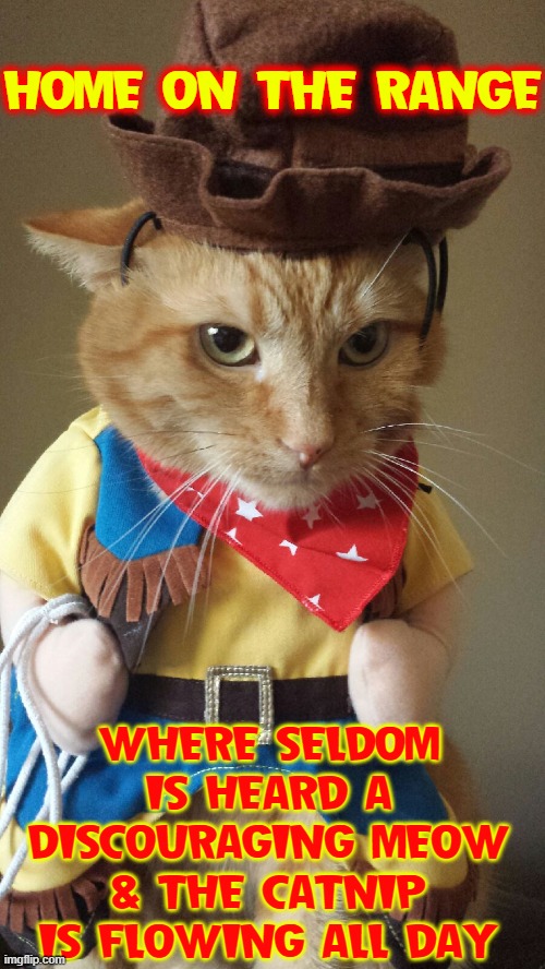 Where the Cats and the Kittens Play | HOME ON THE RANGE WHERE SELDOM IS HEARD A DISCOURAGING MEOW & THE CATNIP IS FLOWING ALL DAY | image tagged in vince vance,cats,costumes,cowboy,home on the range,funny cat memes | made w/ Imgflip meme maker