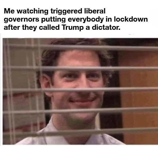 Me watching triggered liberal governors putting everybody in lockdown | Me watching triggered liberal governors putting everybody in lockdown after they called Trump a dictator. | image tagged in triggered liberal,triggered feminist,triggered feminazi,sjw triggered,liberal hypocrisy,dictator | made w/ Imgflip meme maker