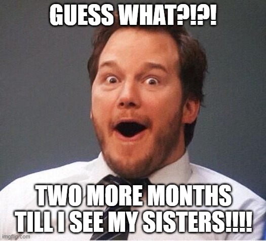 excited | GUESS WHAT?!?! TWO MORE MONTHS TILL I SEE MY SISTERS!!!! | image tagged in excited | made w/ Imgflip meme maker