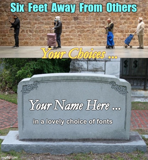 Social Distancing 101 | Six Feet Away From Others Your Choices ... Your Name Here ... in a lovely choice of fonts | image tagged in sick_covid stream,dark humor,covid-19,rick75230,social distancing | made w/ Imgflip meme maker