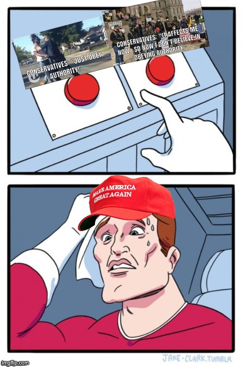 Two Button Maga Hat | image tagged in two button maga hat | made w/ Imgflip meme maker
