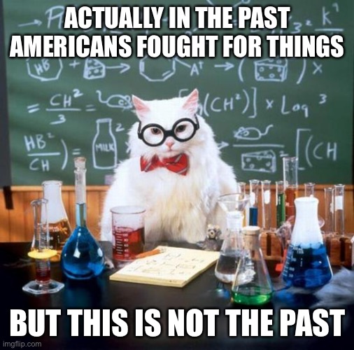 Chemistry Cat Meme | ACTUALLY IN THE PAST AMERICANS FOUGHT FOR THINGS BUT THIS IS NOT THE PAST | image tagged in memes,chemistry cat | made w/ Imgflip meme maker