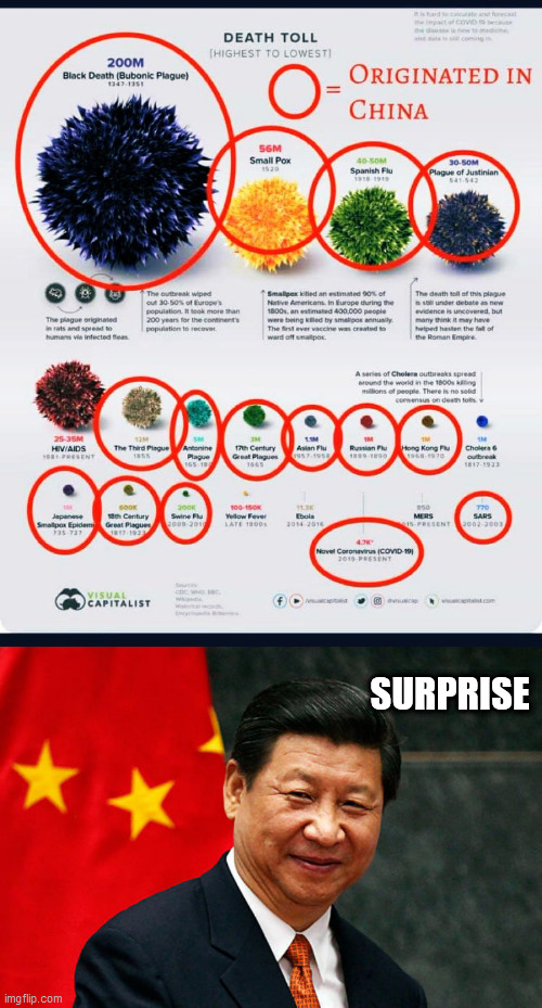 SURPRISE | image tagged in xi jinping,china | made w/ Imgflip meme maker
