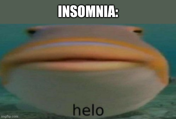 helo | INSOMNIA: | image tagged in helo | made w/ Imgflip meme maker