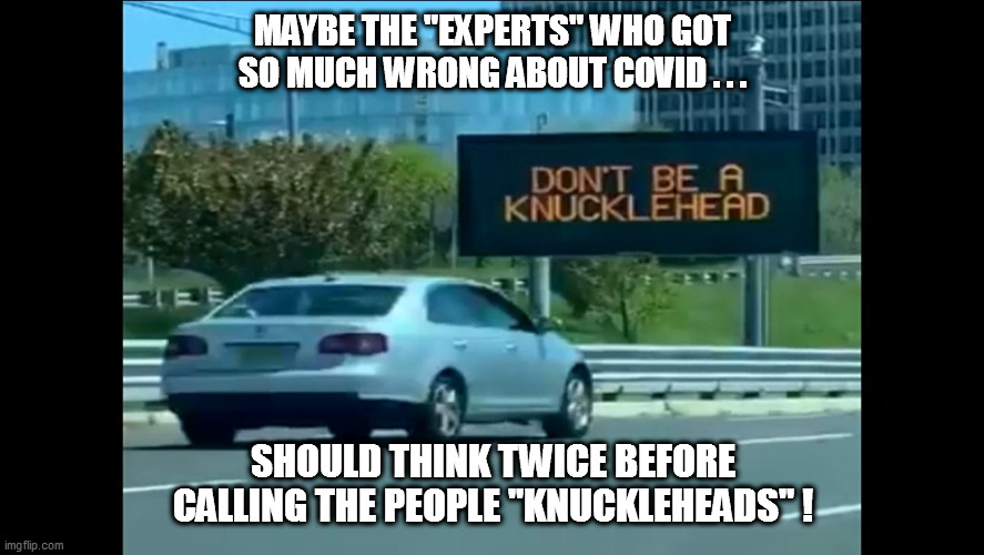 Wannabe experts always wannabe...never are! | MAYBE THE "EXPERTS" WHO GOT SO MUCH WRONG ABOUT COVID . . . SHOULD THINK TWICE BEFORE CALLING THE PEOPLE "KNUCKLEHEADS" ! | image tagged in laura ingraham,nj politicians | made w/ Imgflip meme maker
