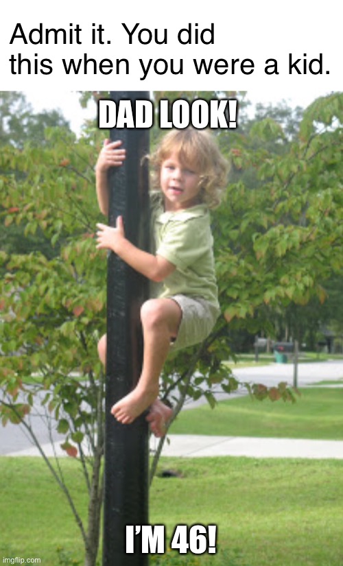 Right in the childhood | Admit it. You did this when you were a kid. DAD LOOK! I’M 46! | image tagged in kids,pole,children,funny,memes,childhood | made w/ Imgflip meme maker