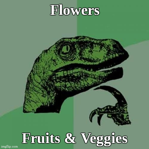 What to grow this year? | Flowers; Fruits & Veggies | image tagged in memes,philosoraptor,fun | made w/ Imgflip meme maker