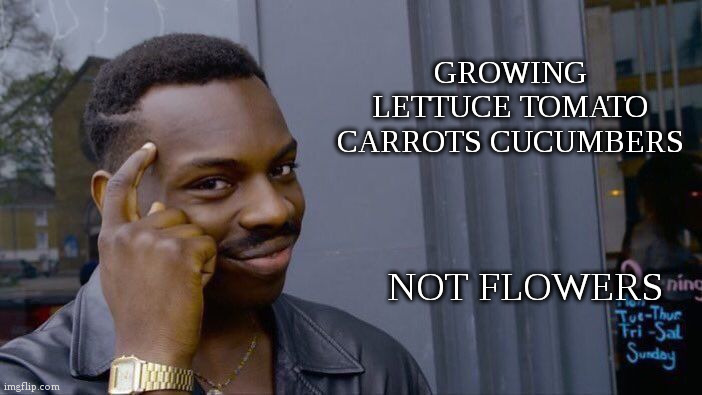 Roll Safe Think About It | GROWING LETTUCE TOMATO CARROTS CUCUMBERS; NOT FLOWERS | image tagged in memes,roll safe think about it | made w/ Imgflip meme maker