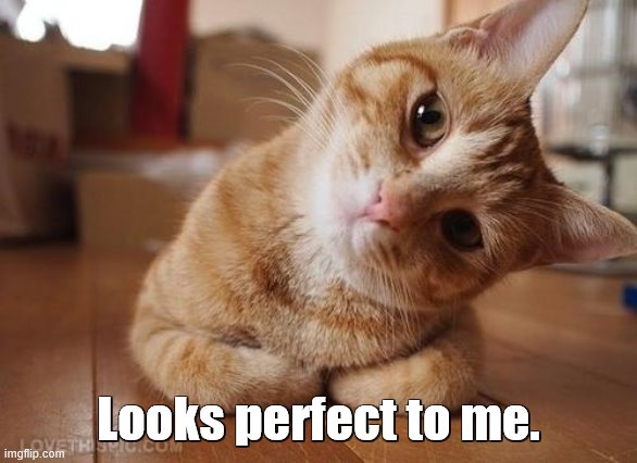 Curious Question Cat | Looks perfect to me. | image tagged in curious question cat | made w/ Imgflip meme maker