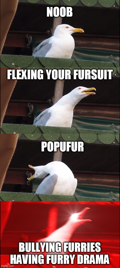 The Furry Fandom | NOOB; FLEXING YOUR FURSUIT; POPUFUR; BULLYING FURRIES HAVING FURRY DRAMA | image tagged in memes,inhaling seagull,furry memes,furry,the furry fandom,funny | made w/ Imgflip meme maker
