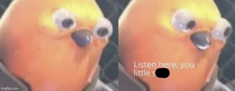 Listen here you little shit bird | image tagged in listen here you little shit bird | made w/ Imgflip meme maker