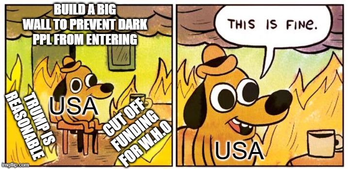 The Time of USA | BUILD A BIG WALL TO PREVENT DARK PPL FROM ENTERING; TRUMP IS REASONABLE; USA; CUT OFF FUNDING FOR W.H.O; USA | image tagged in memes,this is fine | made w/ Imgflip meme maker