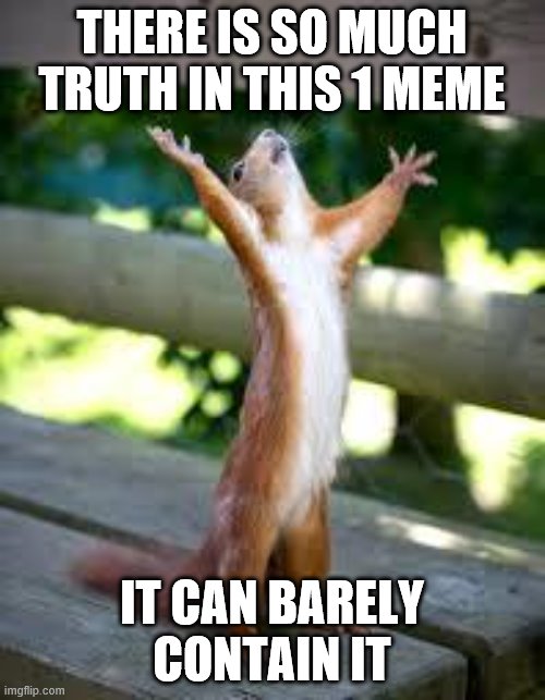 Praise Squirrel | THERE IS SO MUCH TRUTH IN THIS 1 MEME IT CAN BARELY CONTAIN IT | image tagged in praise squirrel | made w/ Imgflip meme maker