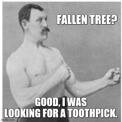 Overly Manly Man Meme | FALLEN TREE? GOOD, I WAS LOOKING FOR A TOOTHPICK. | image tagged in memes,overly manly man | made w/ Imgflip meme maker