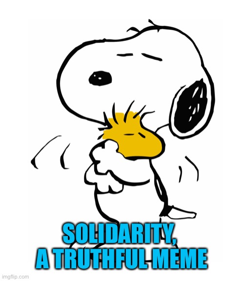 SOLIDARITY,  A TRUTHFUL MEME | made w/ Imgflip meme maker