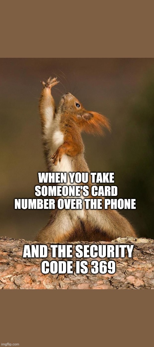 Dancing Squirrel | WHEN YOU TAKE SOMEONE'S CARD NUMBER OVER THE PHONE; AND THE SECURITY CODE IS 369 | image tagged in dancing squirrel | made w/ Imgflip meme maker