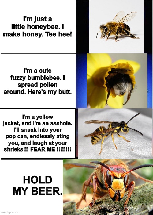 Murder Hornet: bee or alien race? | I'm just a little honeybee. I make honey. Tee hee! I'm a cute fuzzy bumblebee. I spread pollen around. Here's my butt. I'm a yellow jacket, and I'm an asshole. I'll sneak into your pop can, endlessly sting you, and laugh at your shrieks!!! FEAR ME !!!!!!!! HOLD MY BEER. | image tagged in memes,expanding brain | made w/ Imgflip meme maker