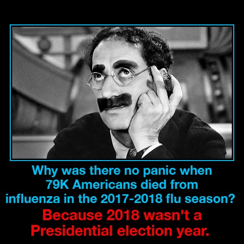 Why was there no panic when 79K Americans died in 2017-2018? | image tagged in demotivationals,covidiots,plandemic,coronavirus,covid-19,government corruption | made w/ Imgflip demotivational maker