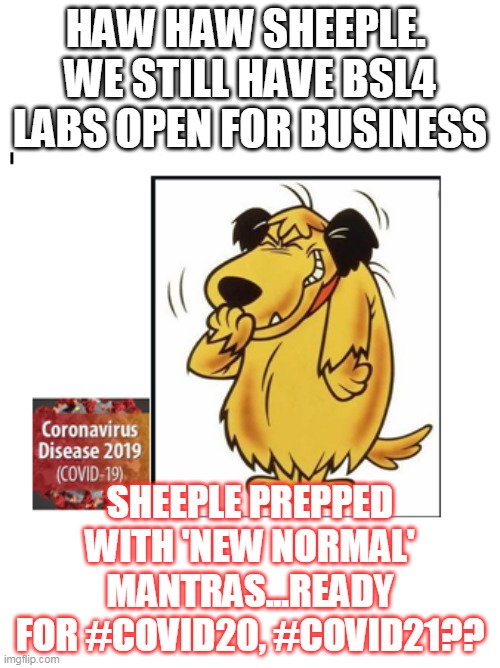 Muttley laughing dog+CV | HAW HAW SHEEPLE. 
WE STILL HAVE BSL4 LABS OPEN FOR BUSINESS; SHEEPLE PREPPED WITH 'NEW NORMAL' MANTRAS...READY FOR #COVID20, #COVID21?? | image tagged in muttley laughing dogcv | made w/ Imgflip meme maker