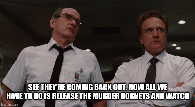 Cabin in 2020 | SEE THEY'RE COMING BACK OUT. NOW ALL WE HAVE TO DO IS RELEASE THE MURDER HORNETS AND WATCH | image tagged in 2020 | made w/ Imgflip meme maker