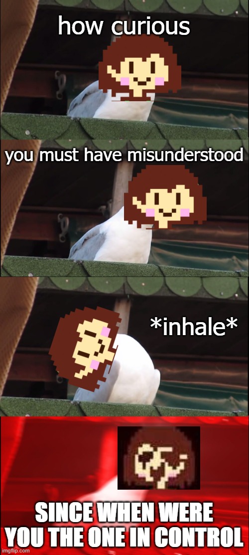 Inhaling Seagull |  how curious; you must have misunderstood; *inhale*; SINCE WHEN WERE YOU THE ONE IN CONTROL | image tagged in memes,inhaling seagull,chara,undertale,undertale chara | made w/ Imgflip meme maker