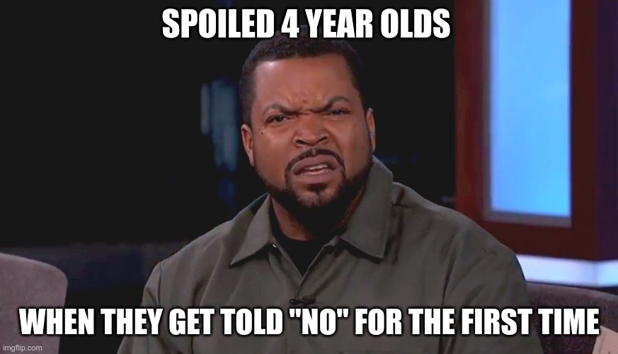 Really? Ice Cube | SPOILED 4 YEAR OLDS; WHEN THEY GET TOLD "NO" FOR THE FIRST TIME | image tagged in really ice cube | made w/ Imgflip meme maker