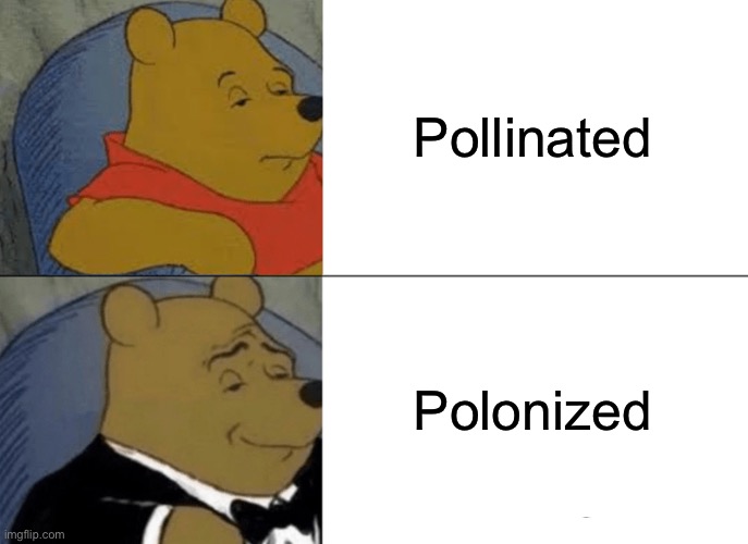 Tuxedo Winnie The Pooh | Pollinated; Polonized | image tagged in memes,tuxedo winnie the pooh,wordplay,pollen,puns,bad pun | made w/ Imgflip meme maker