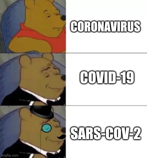 Fancy pooh | CORONAVIRUS; COVID-19; SARS-COV-2 | image tagged in fancy pooh | made w/ Imgflip meme maker