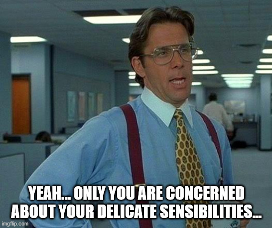 sensitive | YEAH... ONLY YOU ARE CONCERNED ABOUT YOUR DELICATE SENSIBILITIES... | image tagged in memes,that would be great | made w/ Imgflip meme maker