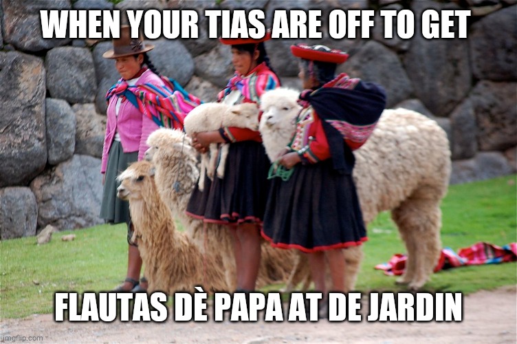 Tias | WHEN YOUR TIAS ARE OFF TO GET; FLAUTAS DÈ PAPA AT DE JARDIN | image tagged in christian apologists | made w/ Imgflip meme maker