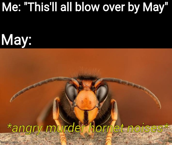 Our universe is DOOMED! DOOOOOOOOMED!! |  Me: "This'll all blow over by May"; May:; *angry murder hornet noises* | image tagged in murder hornet,2020,plague,return the slab,may,we're screwed | made w/ Imgflip meme maker