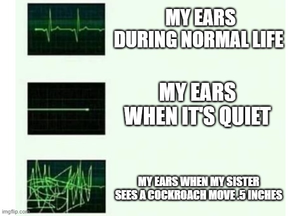 Loudness of a room: compaison | MY EARS DURING NORMAL LIFE; MY EARS WHEN IT'S QUIET; MY EARS WHEN MY SISTER SEES A COCKROACH MOVE .5 INCHES | image tagged in memes,heartbeat,noise,cockroach,sister,funny | made w/ Imgflip meme maker