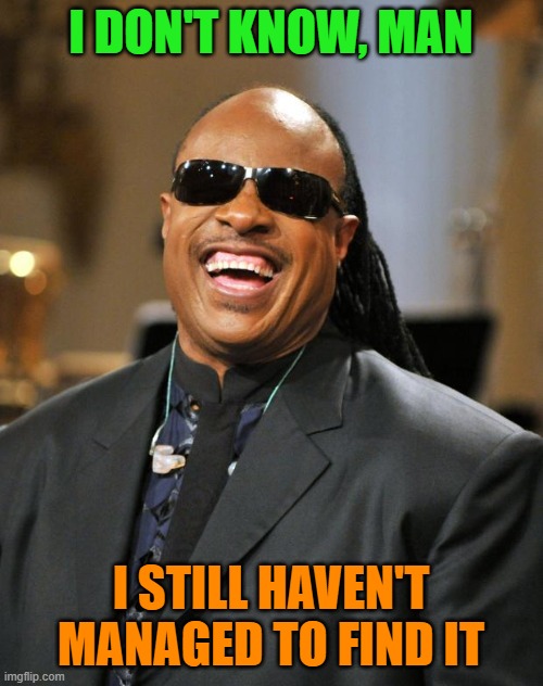 Stevie Wonder | I DON'T KNOW, MAN I STILL HAVEN'T MANAGED TO FIND IT | image tagged in stevie wonder | made w/ Imgflip meme maker