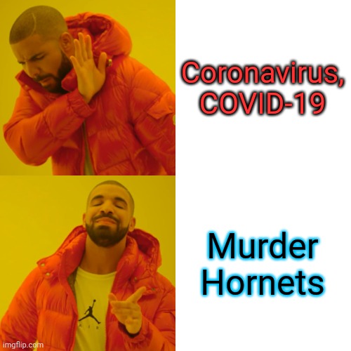 Murder Hornets | Coronavirus, COVID-19; Murder Hornets | image tagged in memes,drake hotline bling | made w/ Imgflip meme maker
